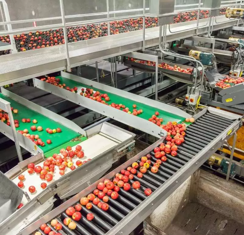 Iluminación de plantas de procesamiento de alimentos